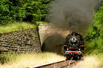 Sauschschwazlebahn